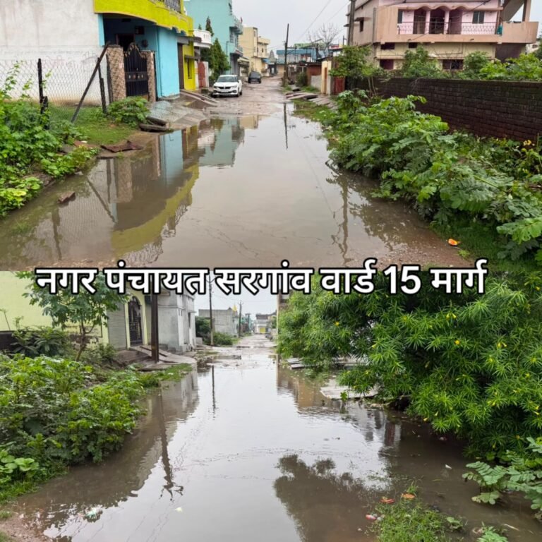 दो पंचवर्षीय से जलभराव की मार, वार्ड-15 के रहवासियों को अब भी स्थायी समाधान का इंतजार